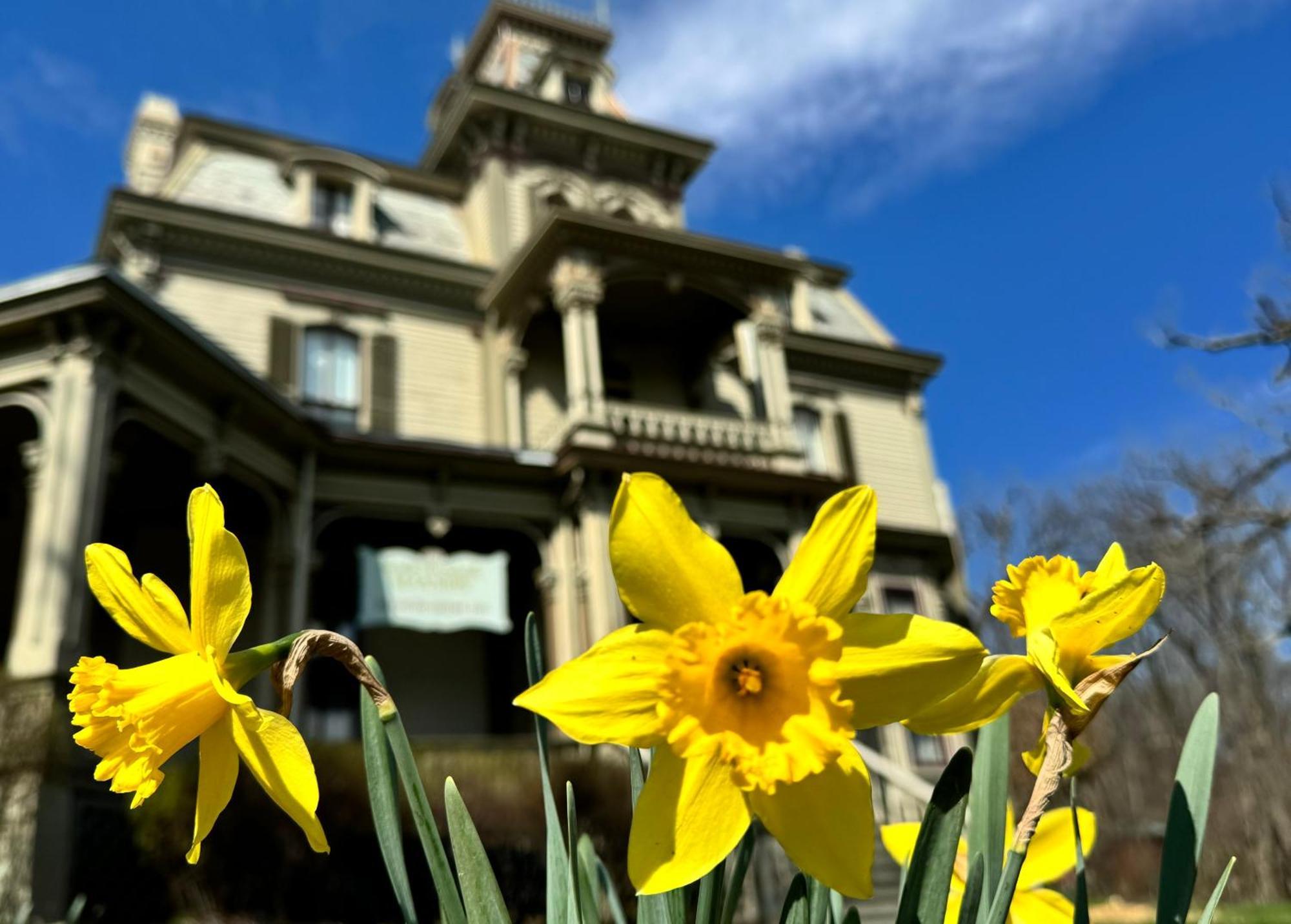 Garth Woodside Mansion Bed And Breakfast 해니벌 외부 사진